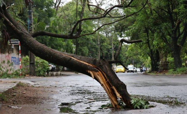 HOY / Reporte de ANDE tras temporal: 86 líneas caídas y varias ciudades sin luz