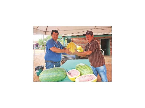 Sandía amarilla fue la fruta novedosa de Expo en Tavapy