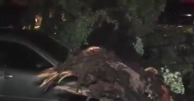 Tormenta letal: joven, aplastado por un árbol
