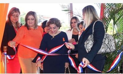 Crean nueva unidad contra violencia familiar
