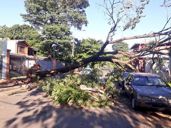 Siguen trabajos de recolección y despeje de calles