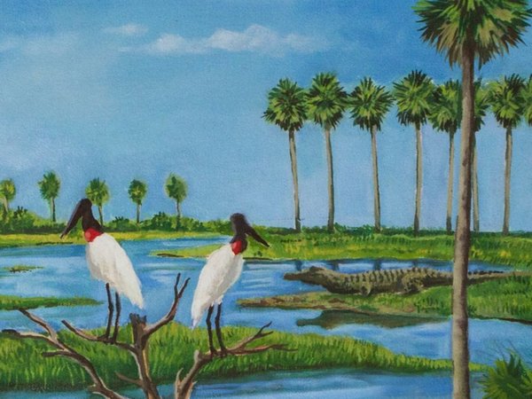 Lanzan postales con paisajes del país para enviar por mail