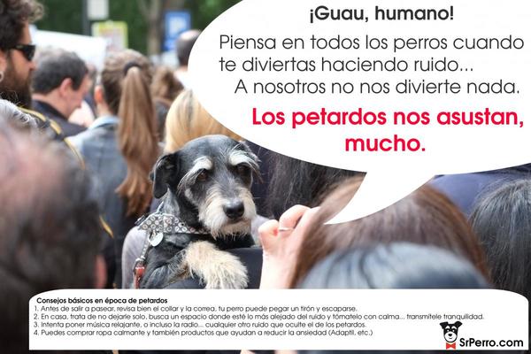 Consejos para calmar a los perros en época de petardos