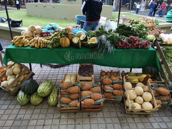 Ferias navideñas ofrecen productos frescos para las fiestas