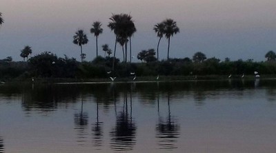 PARAGUAY IMPULSA SU PANTANAL COMO PATRIMONIO MUNDIAL