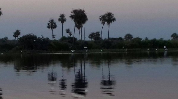 PARAGUAY IMPULSA SU PANTANAL COMO PATRIMONIO MUNDIAL