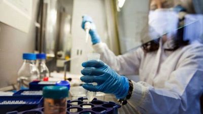 Extraen el genoma humano a partir de un chicle masticado hace 5.700 años