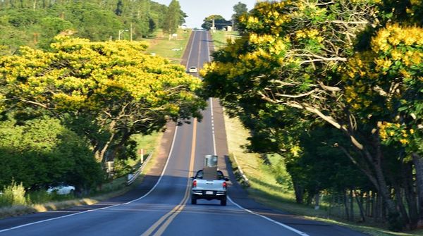 Anuncian navidad sin probabilidades de lluvias para el sur - Digital Misiones