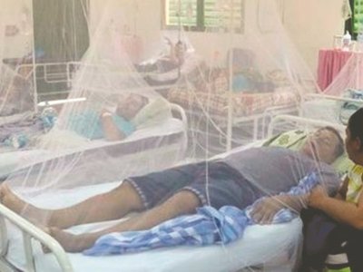 Más de 600 pasarán las fiestas con dengue