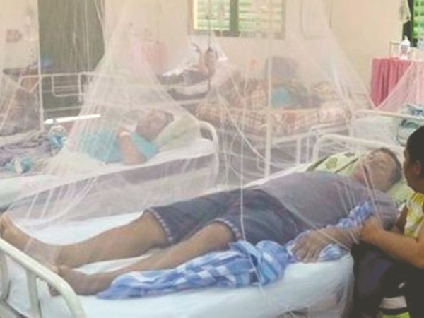 Más de 600 pasarán las fiestas con dengue