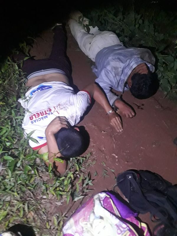 Toro reproductor no se salvó de abigeos, que luego fueron detenidos - Nacionales - ABC Color
