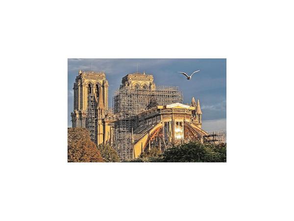 Notre Dame, sin misa de Navidad en más de 200 años