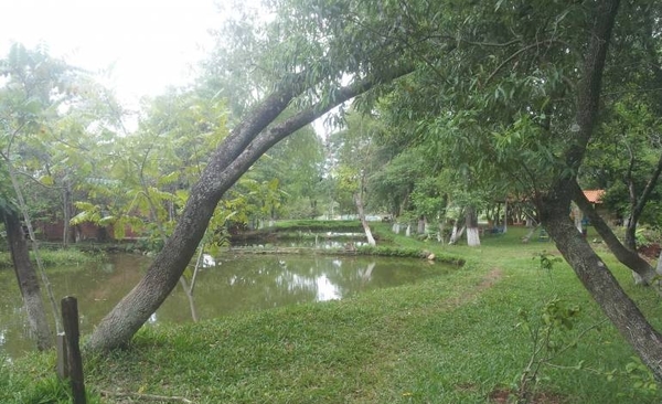 HOY / Asaltan parque ecológico y roban G. 70 millones