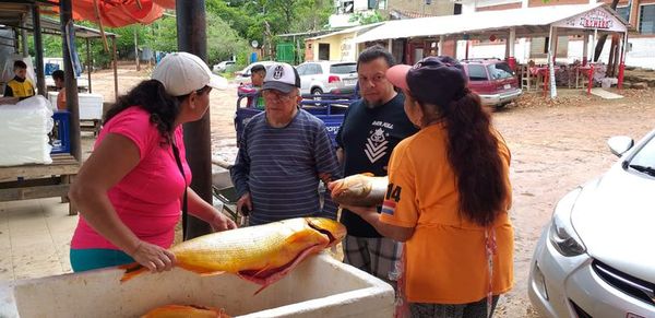 Pescados frescos en Remanso - Nacionales - ABC Color