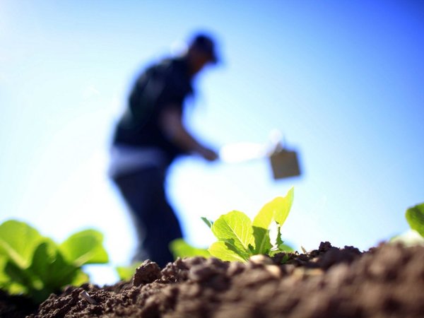 Policía investiga homicidio de un agricultor en Santa Rita