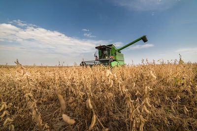 El segmento productivo vivió un año bastante complejo