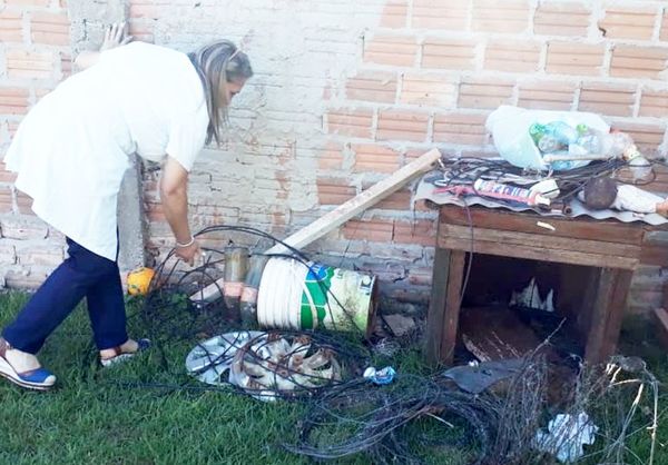 Lamentan indiferencia reinante ante el dengue - Nacionales - ABC Color