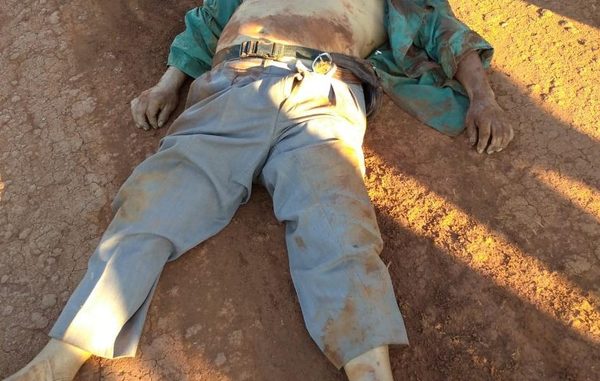 Sexagenario muere arrollado