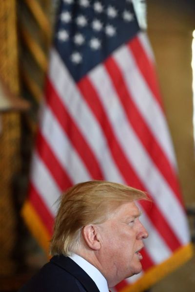 El “hombre de Florida": un año de excentricidades, caimanes y crímenes raros - Mundo - ABC Color