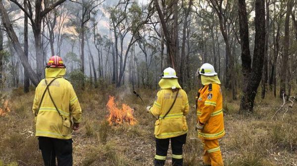 Bomberos pasan Navidad combatiendo incendios forestales en Australia » Ñanduti
