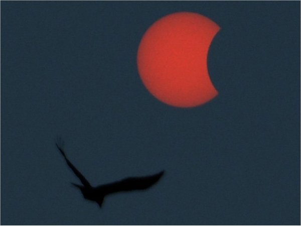 Eclipse anular de Sol atrae a miles de personas en Asia
