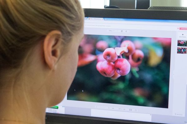 Cómo trabajar de manera más independiente con aplicaciones web - Tecnología - ABC Color