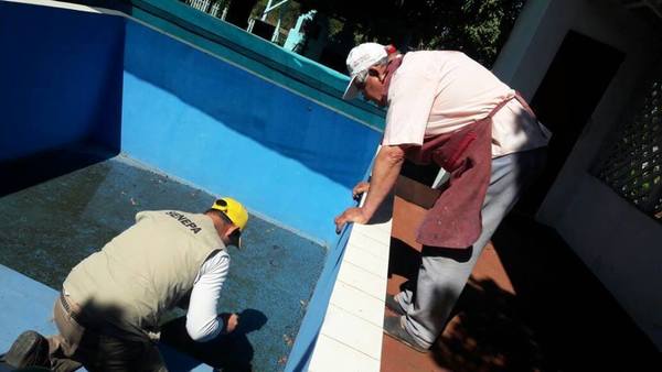 Aconsejan clorar las piscinas para evitar reproducción de mosquitos - ADN Paraguayo
