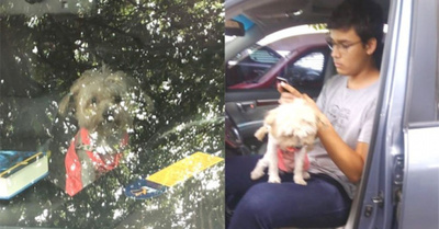 Jagua quedó encerrada en una camio