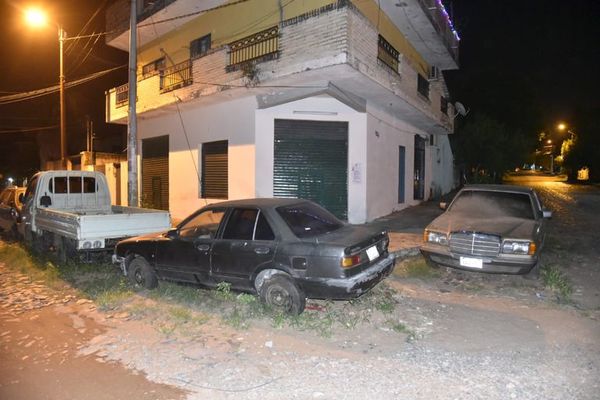 Potenciales criaderos en barrio Vista Alegre - Nacionales - ABC Color