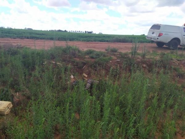Hallan cadáver atado de pies y manos, quemado y con rastros de tortura