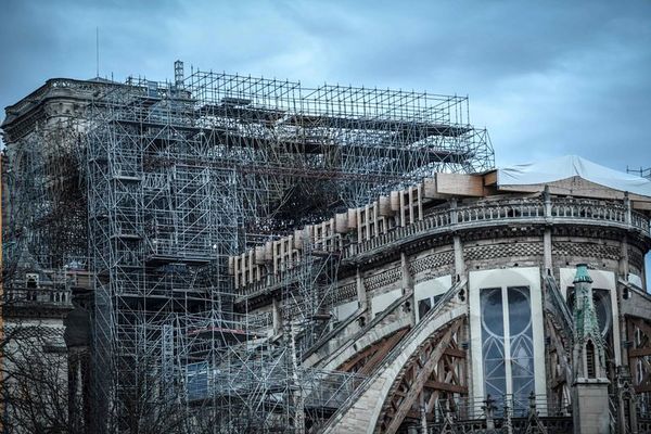 Al rescate de Notre Dame de París, ocho meses después del incendio - Mundo - ABC Color