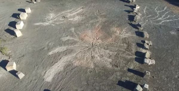 El bosque fósil más antiguo del mundo está en Nueva York - Ciencia - ABC Color