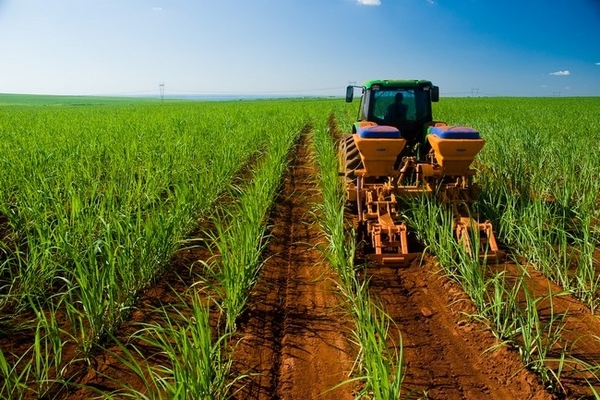 Sector agro se recuperó en los últimos meses