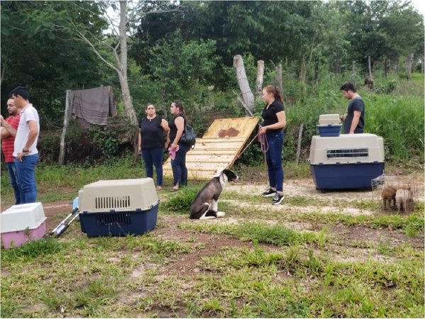Rescatan a 22 perros de un criadero clandestino de Curuguaty