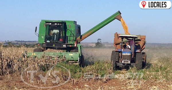 Productores aguardan buena cosecha y repunte de la economía para el 2020