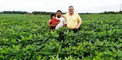 Celebran buen desarrollo de la soja y esperan cosechar 10 millones de Ton. - Economía - ABC Color