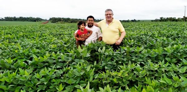 Celebran buen desarrollo de la soja y esperan cosechar 10 millones de Ton. - Economía - ABC Color