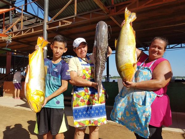 Pescados frescos para Año Nuevo - Nacionales - ABC Color