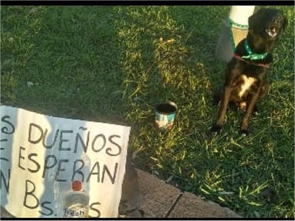 Argentina: Caminó con su perro de Posadas hasta Buenos Aires