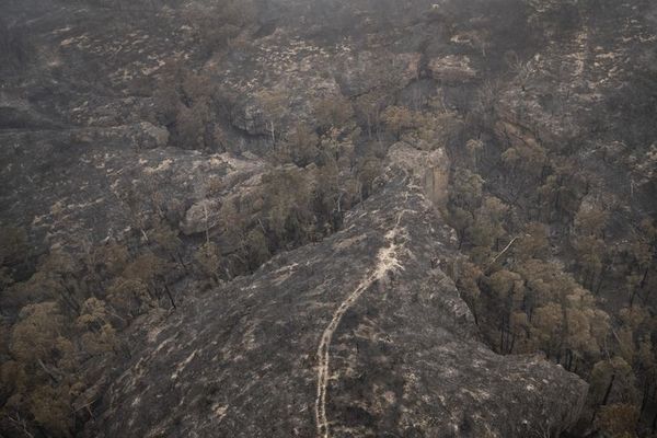 Piden evacuación de miles de personas en Australia debido a incendios - Mundo - ABC Color