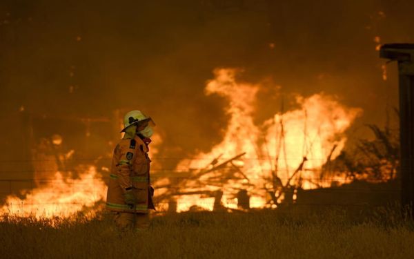Australia: Piden evacuar los bosques debido a los incendios forestales