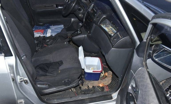 HOY / Policía que atropelló a menor e intentó huir dio positivo al alcotest, víctima está grave