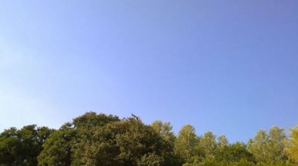 Lunes con calor extremo a nivel país