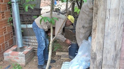 Convocan a mingas ambientales en Filadelfia para combatir criaderos de Dengue