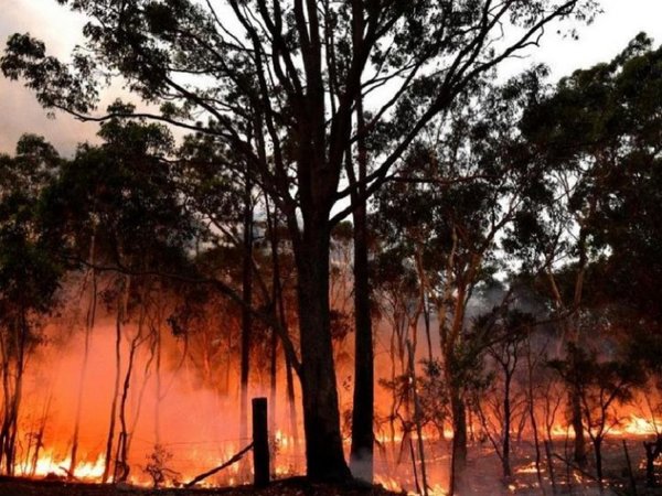 Australia: Podrían suspender show de fuegos artificiales por incendios