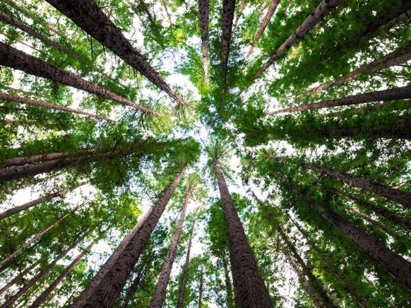 MADES: Llegar al 2020 con “cero papel” es una meta