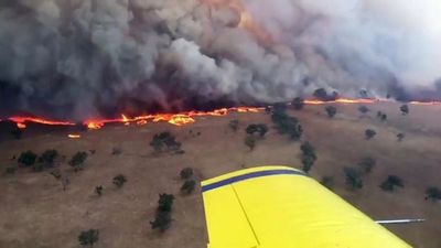 Miles de personas se refugian en las playas para escapar de incendios en Australia - Mundo - ABC Color
