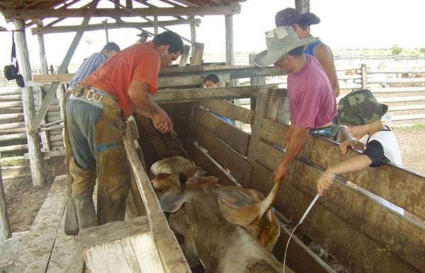 Despojo OGD: familia afectada denuncia a exministro Bajac por tráfico de influencias y enriquecimiento ilícito - A La Gran 7-30 - ABC Color
