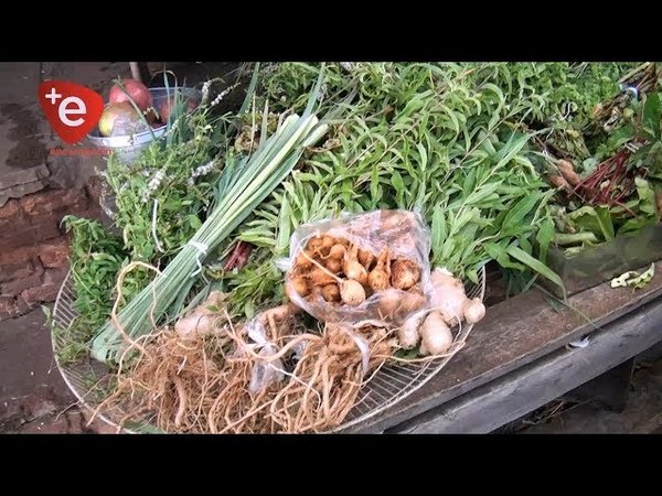 HIERBAS MEDICINALES, EL REMEDIO CONTRA LOS EXCESOS DE LAS FIESTAS