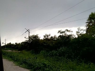 Alto Paraguay: Técnicos de ANDE trabajan para reponer servicio